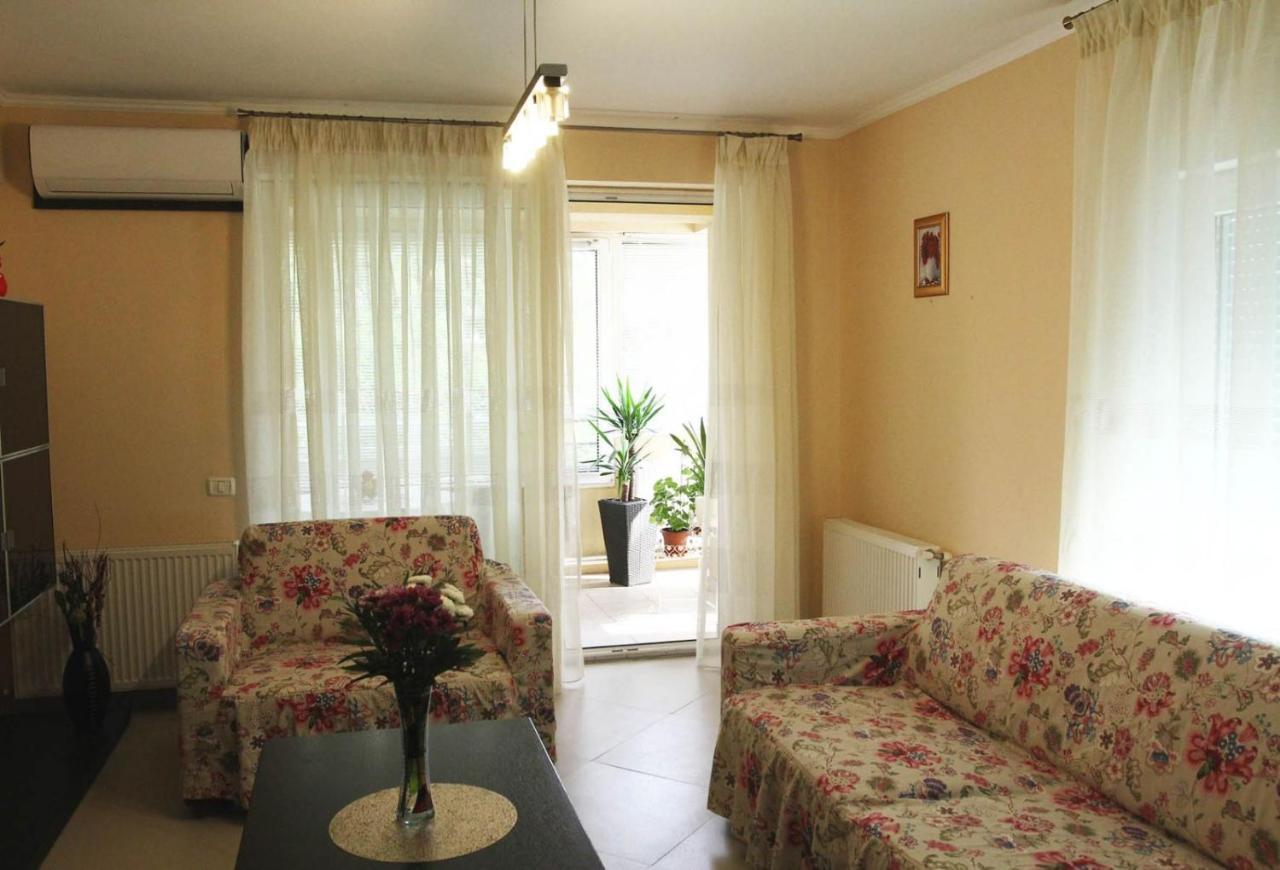 Apartment Radu Mamaia