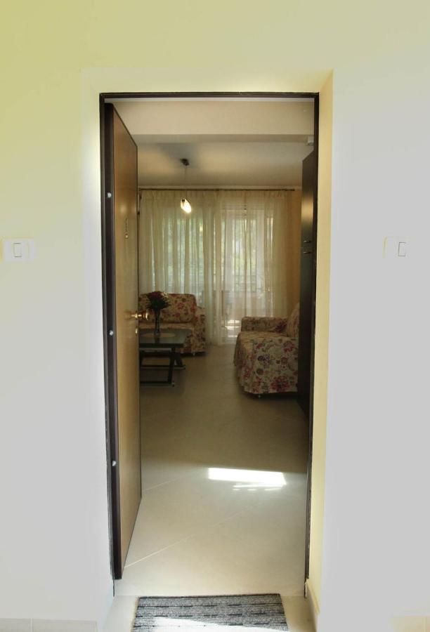 Apartment Radu Mamaia